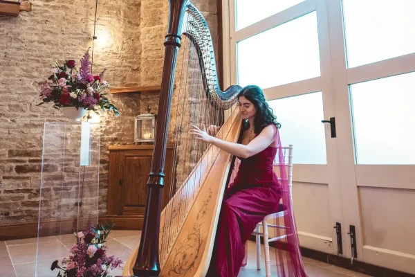 Harpist for wedding hire