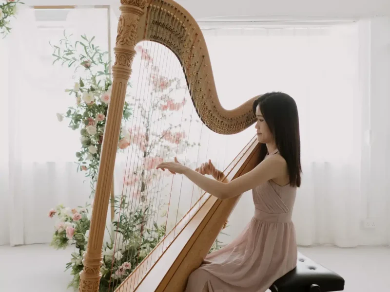 romantic wedding harpist