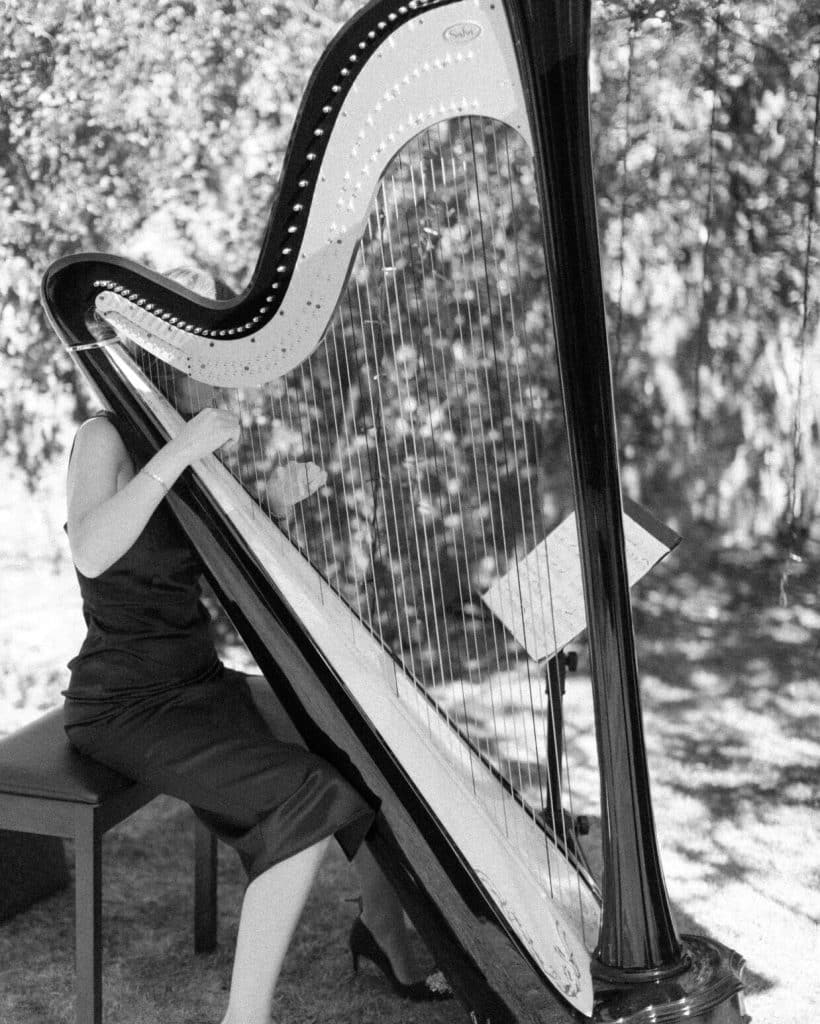 Black and white harpist picture